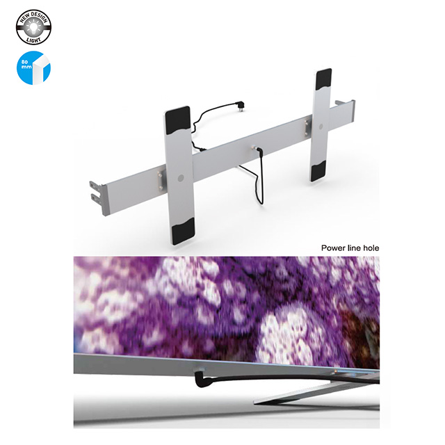 80mm SEG Free Standing Lightbox EM-18C